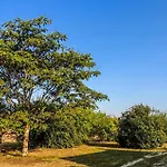 1 Bedroom Awesome In St Chamassy Ferienhaus *